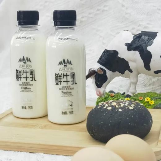 【超市】森林牧场 鲜牛乳250ml 商品图0