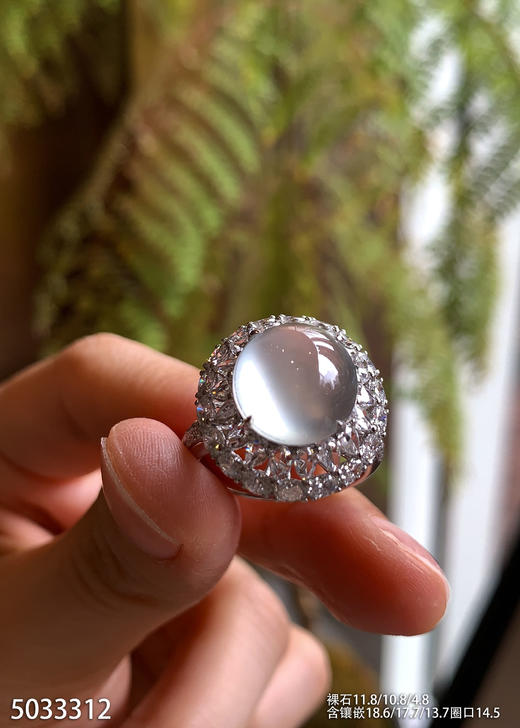 5033312，蛋面戒指。具体价格微信咨询 商品图3