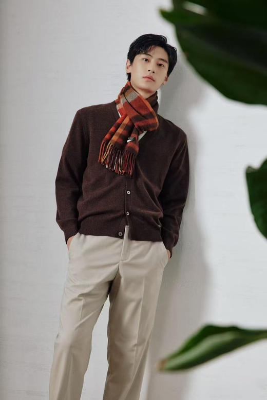 【高品质私服】【IC格纹围巾】甄选百分百山羊绒，轻盈如云，绵软亲肤N1628-CC【无标出货 介意慎拍】 商品图8