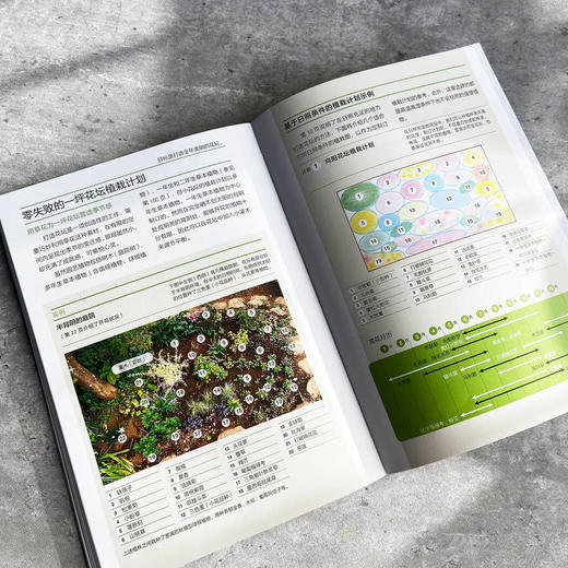 小庭院花坛12月栽培笔记  [日] 河野义雄([日] 河野义雄) 商品图2