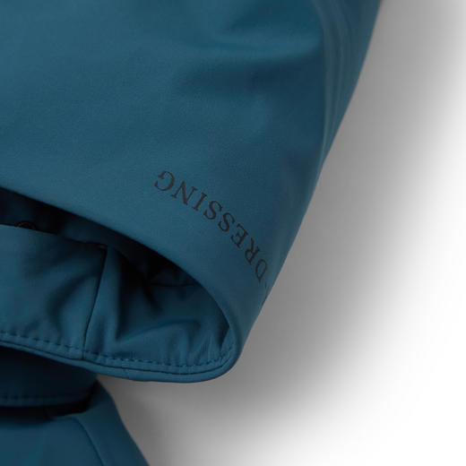 【门店同款&鹅绒】圣得西连帽羽绒服2025年冬季男士通勤易搭外套 商品图10