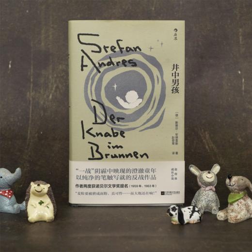 井中男孩 商品图1