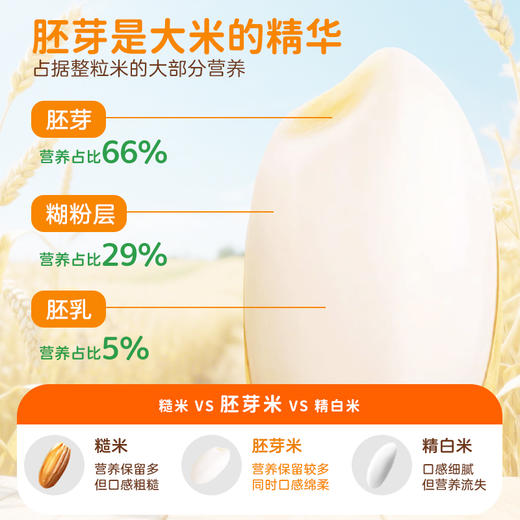 年货 黑龙江有机胚芽米2.5kg/包   留胚醇香软糯 商品图6