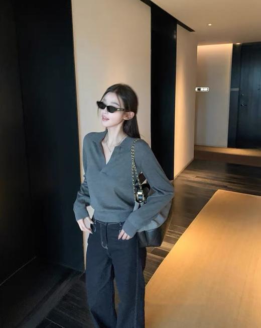 爆款3-5天发货！高智老钱风冬季加厚羊毛毛显瘦Polo领长袖针织衫JS3699124 商品图2