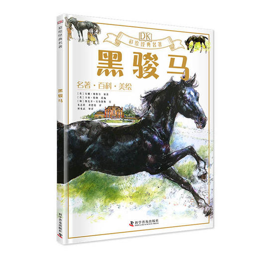 黑骏马 商品图0