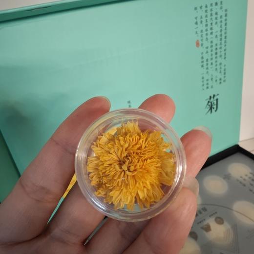 正宗怀菊花焦作温县特产云台冰菊礼盒养生茶菊花茶礼盒焦作特产 商品图1
