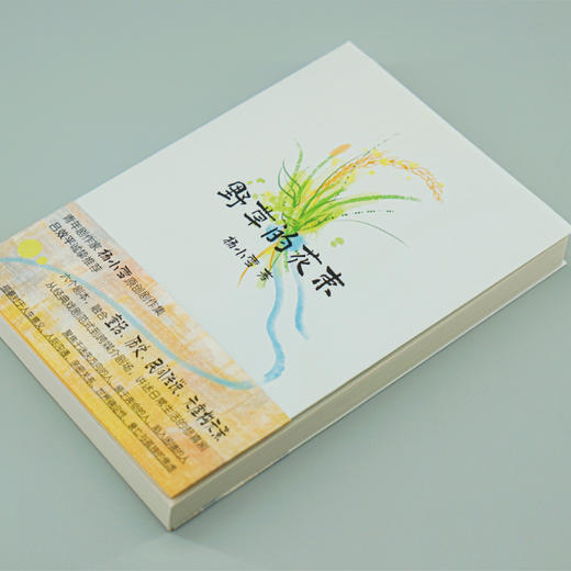 野草的花束 （守望者）青年剧作家杨小雪原创剧作集 日常生活悲喜剧 商品图2