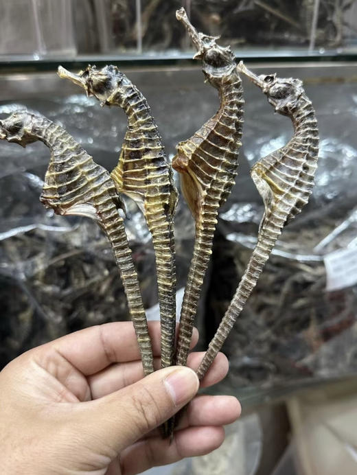 & 海马干被誉为“深海之宝”[强]强身健体、滋肾补🐏等...适合各种炖料～大补 商品图4