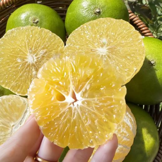 有机皇帝柑 3斤装   产地：广东 商品图3