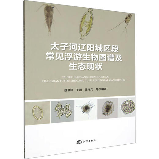 太子河辽阳城区段常见浮游生物图谱及生态现状 商品图0
