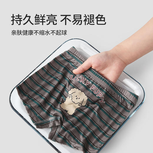 【49.9元4条】ZYZ A类95%纯棉儿童内裤 卡通5A抗菌男女童平角四角短裤 商品图3