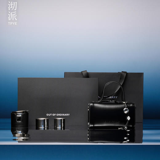 【99%纯钛茶具】沏派静钛飞行壶纯钛茶具套装便携高档泡茶壶礼盒 商品图4
