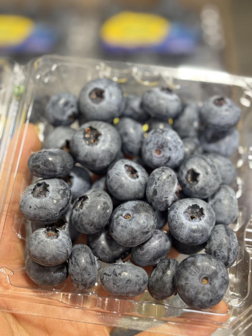 【Driscoll's限量款蓝莓】新鲜果粉足，甜甜脆脆爽爽，都知道蓝莓对眼睛好，还富含青花素～ 商品图1