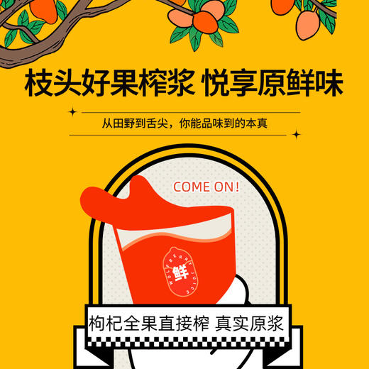 杞里香尝萃500ml盒装枸杞原浆经典瓶装宁夏红枸杞原浆原汁50ml*10瓶 商品图2