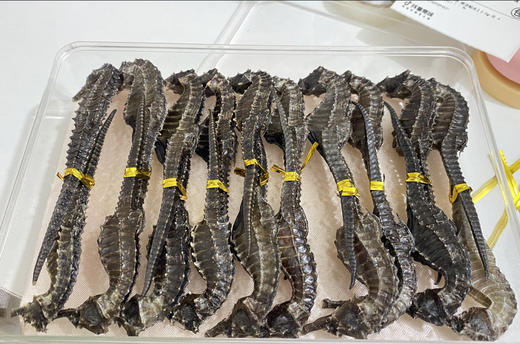 & 海马干被誉为“深海之宝”[强]强身健体、滋肾补🐏等...适合各种炖料～大补 商品图5