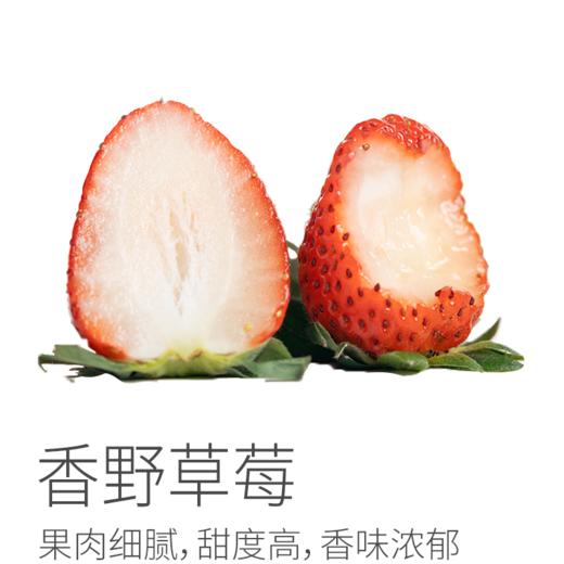【预售】香野草莓丨国外引进品种，生态种植，香气浓郁，汁水充盈，果肉细腻香甜，到货即食。⭐️顺丰空运 商品图0