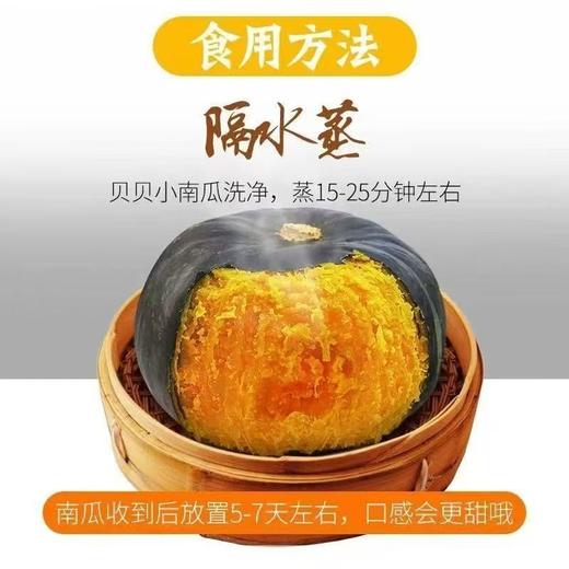 【SF】新鲜贝贝瓜 粉糯香甜！贝贝瓜蒸着吃超绝 一口绵密 商品图1