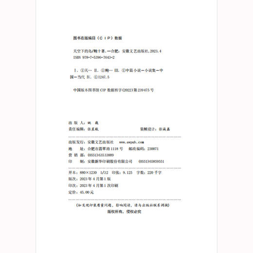 天空下的岛(鲍十) 商品图2