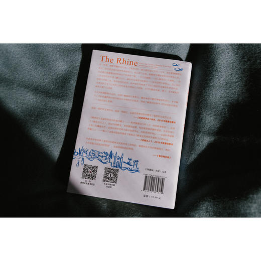 溯源莱茵河--从阿姆斯特丹到阿尔卑斯山 商品图1