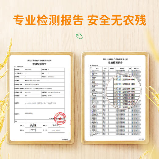 年货 黑龙江有机胚芽米2.5kg/包   留胚醇香软糯 商品图3