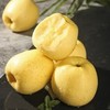 【国安农业出品】信农宜食维纳斯黄金苹果礼盒10粒装（75-80果） 商品缩略图2