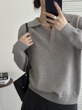 爆款3-5天发货！高智老钱风冬季加厚羊毛毛显瘦Polo领长袖针织衫JS3699124