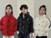 胖胖象上新啦‼️89起‼️填充新国标90绒‼️每件都带质检❗童装儿童羽绒服男童女童连帽加厚羽绒外套中大童秋冬韩版厚款聚 商品缩略图1