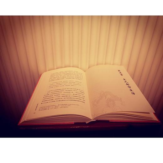 中国古代都市生活史 商品图4