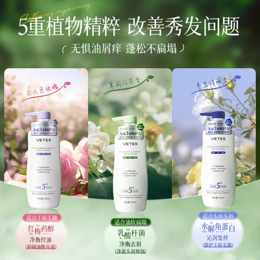维特丝 头皮臻护洗发水500ml 商品图0
