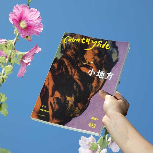 单读PLUS:漫象集:小地方 商品图1