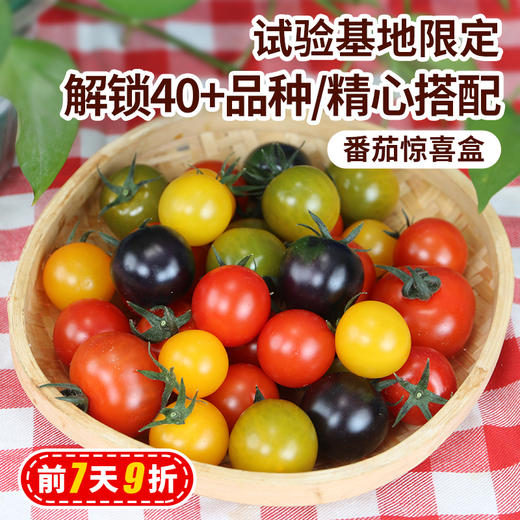 北京本地 番茄惊喜盒 多色混合装 汁水丰沛 酸甜可口 尝鲜必备 400g 商品图0