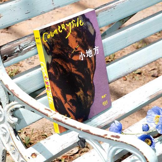 单读PLUS:漫象集:小地方 商品图3