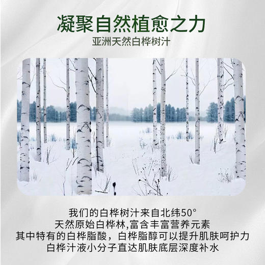最北醉美白桦树汁舒缓紧致面膜女士男士面膜 商品图1