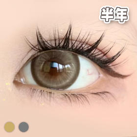 #KISMET 沐浴阳光 棕/灰 14.5mm【1片装】敏感眼舒适推荐 / 半年抛