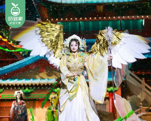 【屿见闽南】时光幻境-全新仙侠主题演出门票/1张（仅限1月2日使用）【叼生活】 商品图3