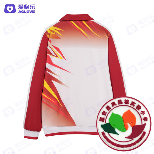 惠安凤凰城实验小学（冬） 商品图3