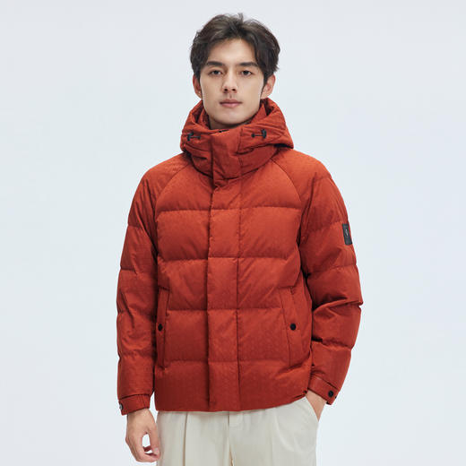【门店同款&鸭绒】圣得西2025年冬季新款羽绒服主题提花时尚外套 商品图1