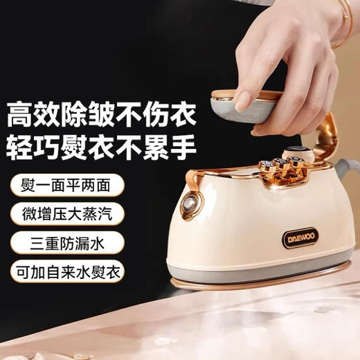 大宇升级款手持挂烫机家用小型熨烫机大蒸汽熨斗HI-036PRO 商品图0