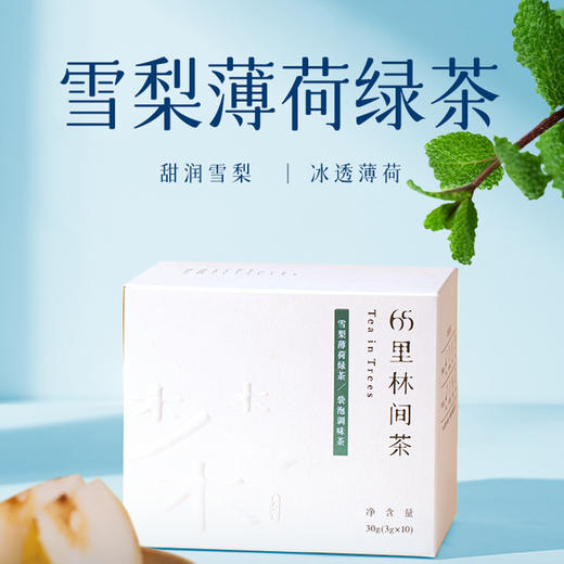 趣品 | 雪梨薄荷绿茶 30g 花果袋泡调味茶 商品图0