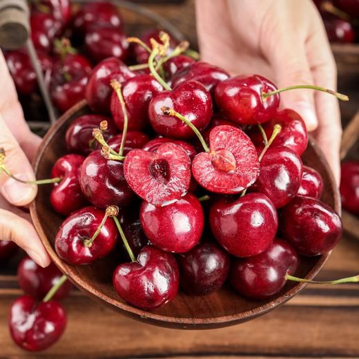 智利进口SANTINA桑缇娜车厘子 5斤礼盒装 顺丰京东发货 商品图7