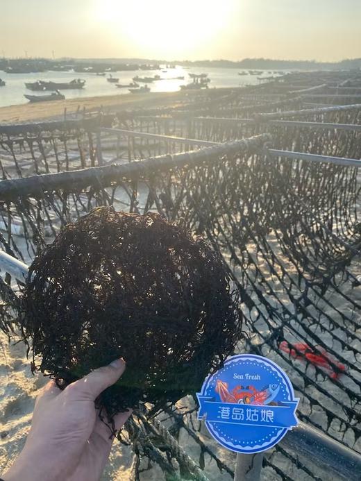 东山头水紫菜 头茬嫩芽 尝鲜正当时 自然晾晒锁住本味 无沙免洗 煮汤鲜香四溢，巨好吃！！ 商品图4