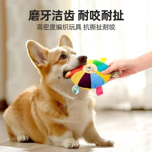 【结实耐咬口感绵软❗️互动玩耍安全环保】狗狗玩具发声玩具磨牙毛绒飞盘解闷自嗨小狗耐咬消耗精力宠物用品。jb 商品图3