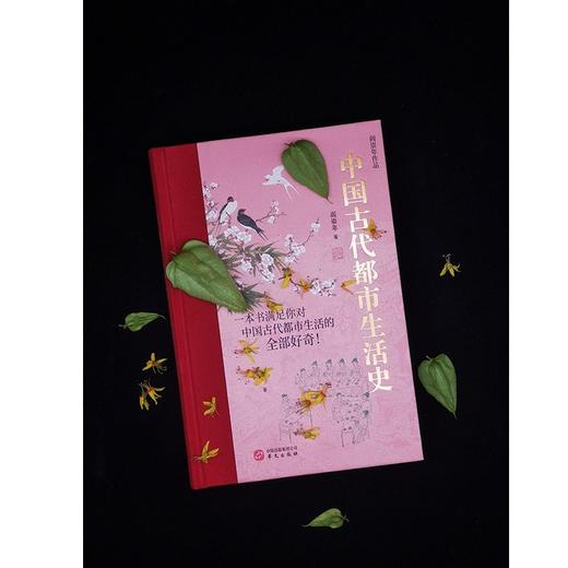 中国古代都市生活史 商品图2