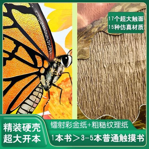 宝宝的第一本精美触摸书 商品图3