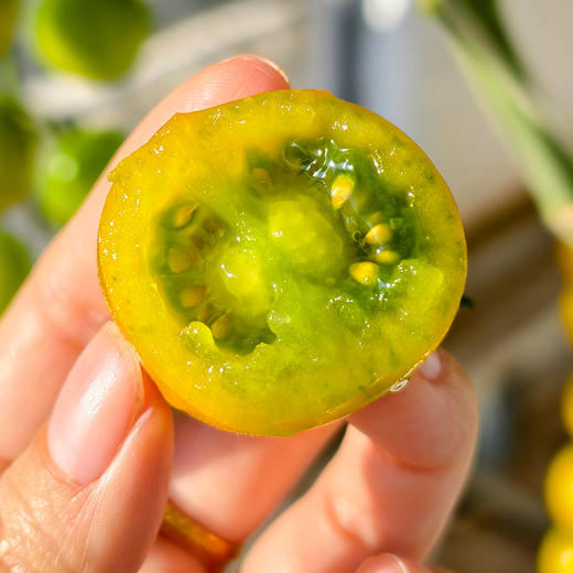 北京本地 番茄惊喜盒 多色混合装 汁水丰沛 酸甜可口 尝鲜必备 400g 商品图3