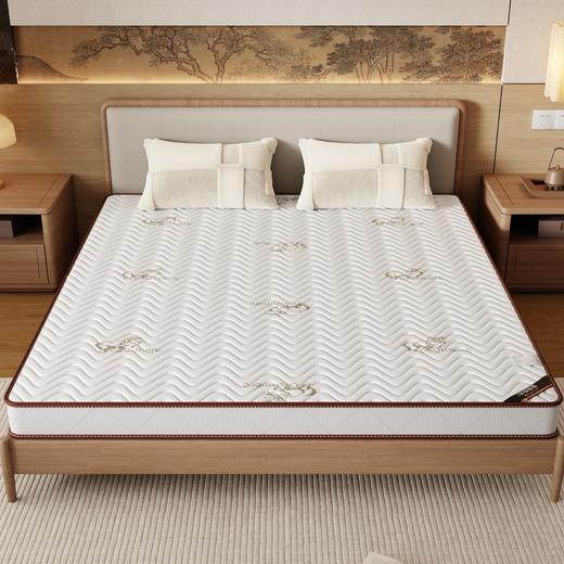 自然醒3E椰棕床垫-Z04 SA 商品图4