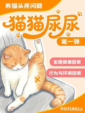 猫咪头痛问题：偷偷乱尿