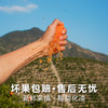 台州临海涌泉蜜桔，核心产区顺丰直发，“橘生山海间，味道自然甜”，蜜桔黄金赏味期，错过再等一年，九甜一酸，果皮超薄，无籽无渣 商品缩略图5