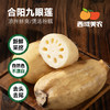 西域美农  陕西合阳九眼莲菜  一藕多吃！凉拌清脆爽口，煲汤粉糯香甜！ 4斤 顺丰发货 商品缩略图0