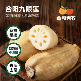 西域美农  陕西合阳九眼莲菜  一藕多吃！凉拌清脆爽口，煲汤粉糯香甜！ 4斤 顺丰发货